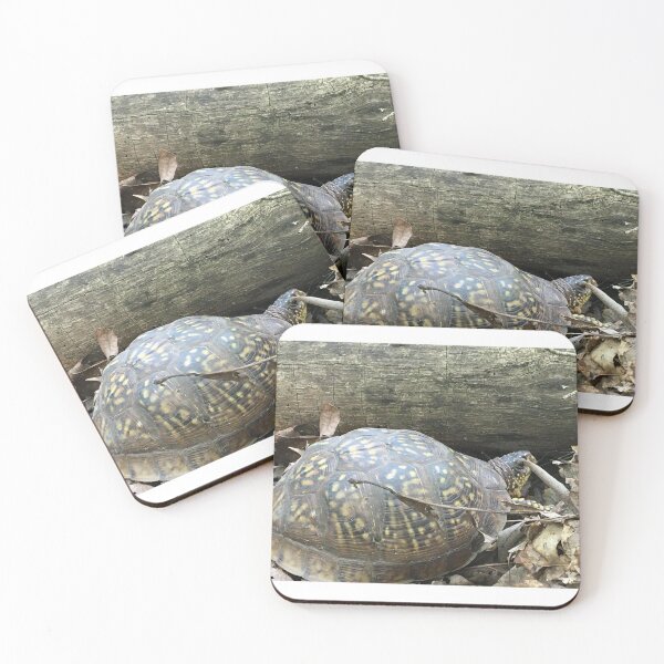 Item preview, Turtle  designed and sold by JustinTimePhoto.