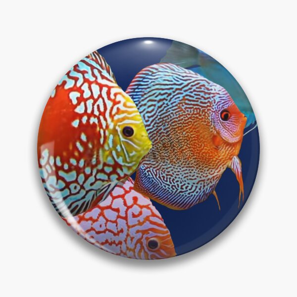 Item preview, DISCUS FISH AQUARIST designed and sold by Danicus666.