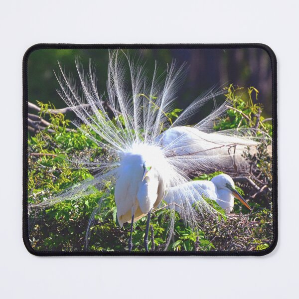 Item preview, Impressing The Ladies 2 designed and sold by LisaWootenPhoto.