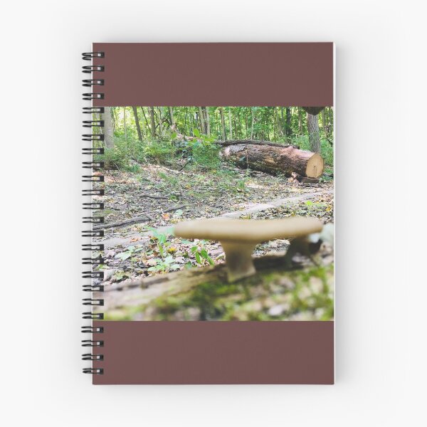 Item preview, Mushroom in Nature  designed and sold by JustinTimePhoto.