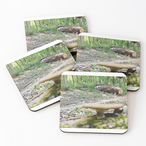 Item preview, Mushroom in Nature  designed and sold by JustinTimePhoto.