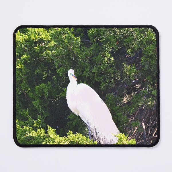 Item preview, Portrait Of A Great Egret designed and sold by LisaWootenPhoto.