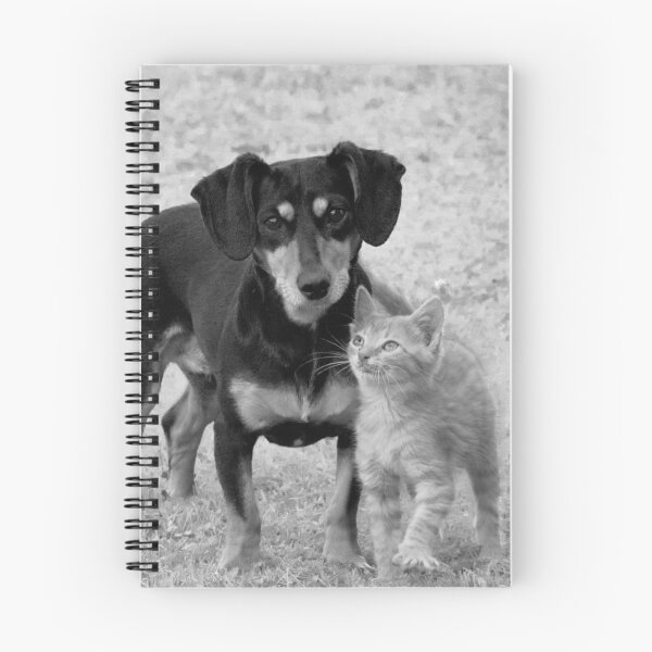 Item preview, Cat and dog designed and sold by Amadej.