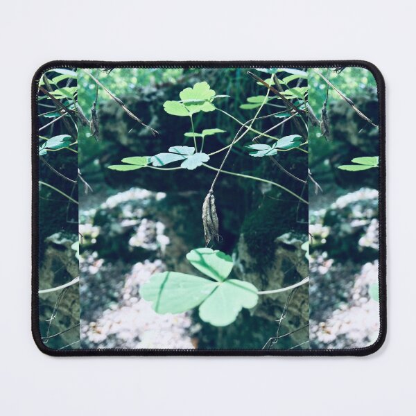 Item preview, Wilted  designed and sold by JustinTimePhoto.