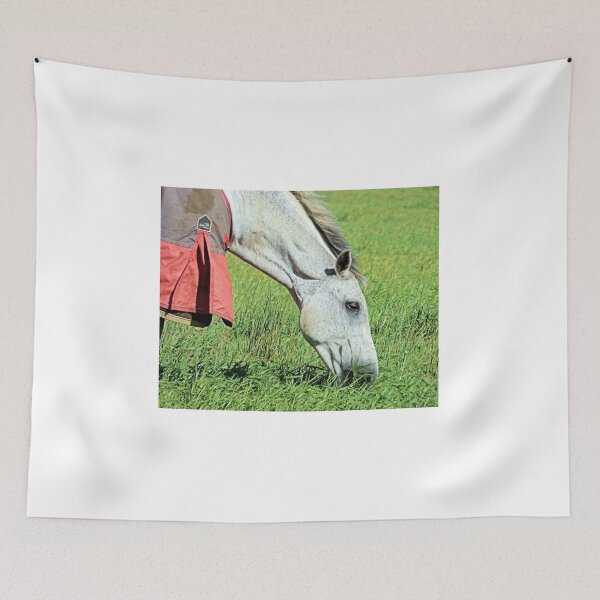 Item preview, white horse designed and sold by scottnicoll.