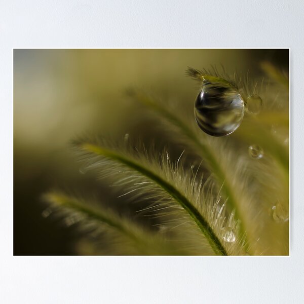 Item preview, Enchanting designed and sold by Jenni77.