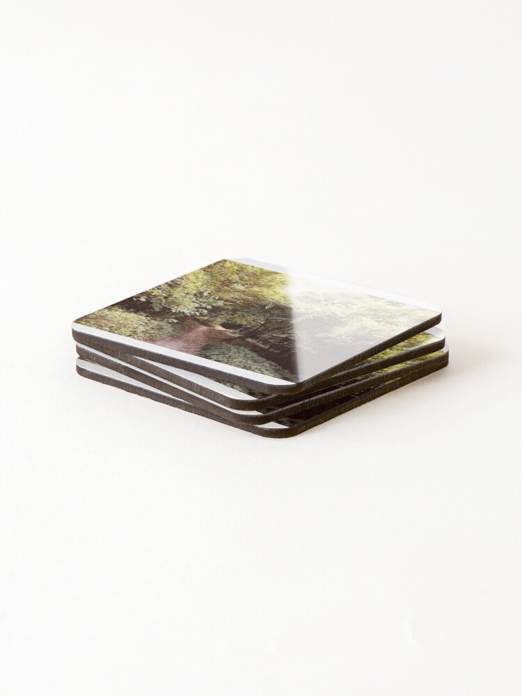 Thumbnail 4 of 5, Coasters (Set of 4), Path designed and sold by JustinTimePhoto.