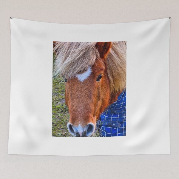 Item preview, pony designed and sold by scottnicoll.