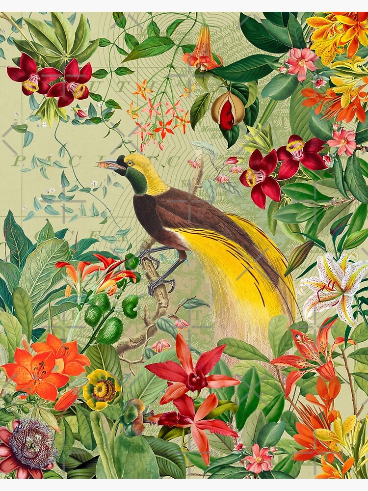 希少 アート 大型本 TROPIAAL ART Birds and Leaves Amazon.com: Touch of Class Toucans in Tropics Metal Wall