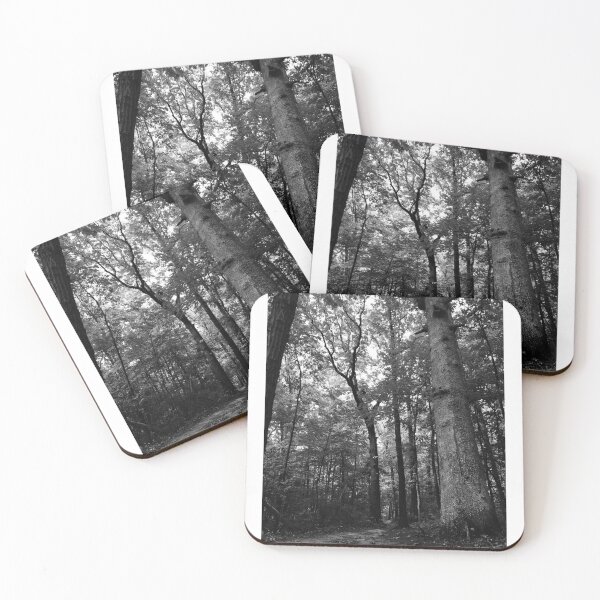 Item preview, Dark Woods  designed and sold by JustinTimePhoto.