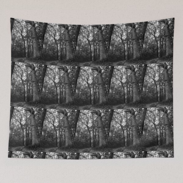 Item preview, Dark Woods  designed and sold by JustinTimePhoto.
