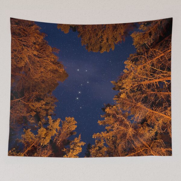 Item preview, Ursa Major designed and sold by Zip-Zup.