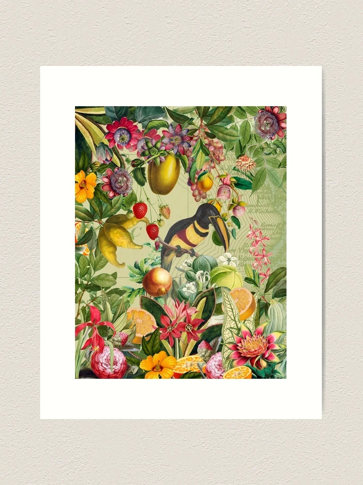 Vintage Paradise Toucan Bird in Tropical Jungle Botanical Garden- Collage  Art Print for Sale by UtArt