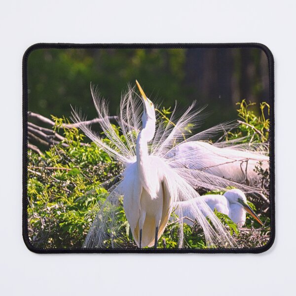 Item preview, Hey Ladies designed and sold by LisaWootenPhoto.