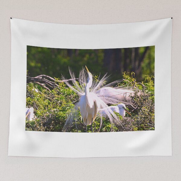 Item preview, Hey Ladies designed and sold by LisaWootenPhoto.