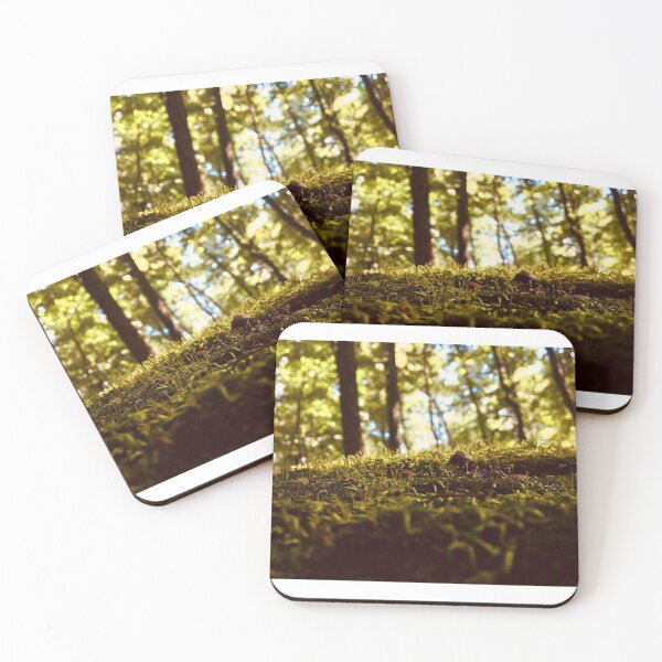 Item preview, Forest Floor  designed and sold by JustinTimePhoto.