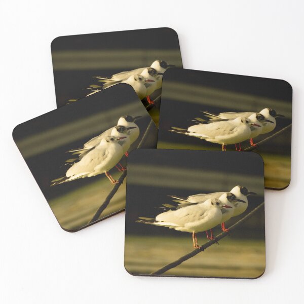 Item preview, Beautiful Seagulls at Sunset - Coastal Charm in Harmony designed and sold by CarolinaReina.