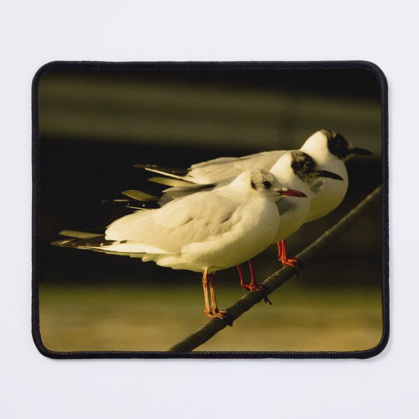 Item preview, Beautiful Seagulls at Sunset - Coastal Charm in Harmony designed and sold by CarolinaReina.