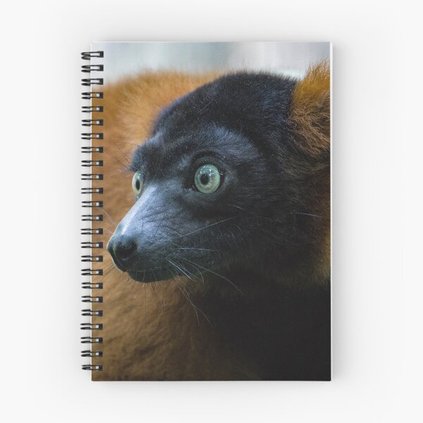 Item preview, Vari monkey designed and sold by Dagostino.