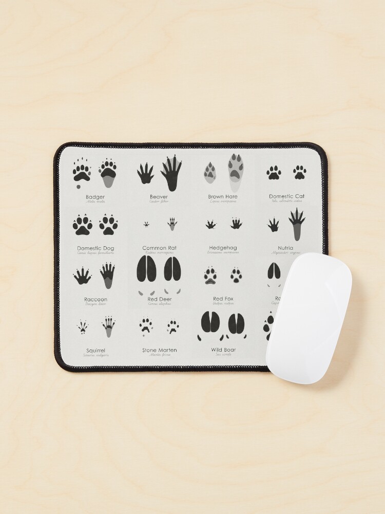 Common Animal Tracks Identification Chart (Hidden Tracks) Mouse