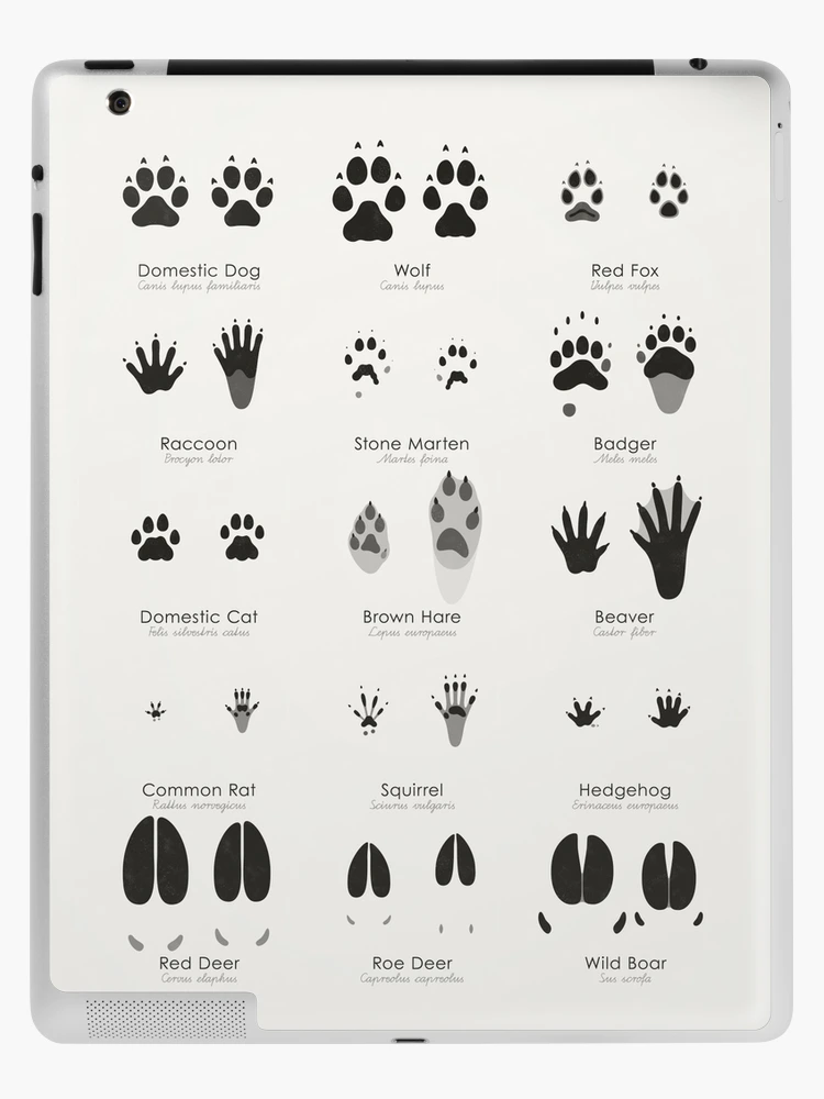 Latest ANIMAL TRACKS ID sheets  Animal tracks, Hunting, Survival