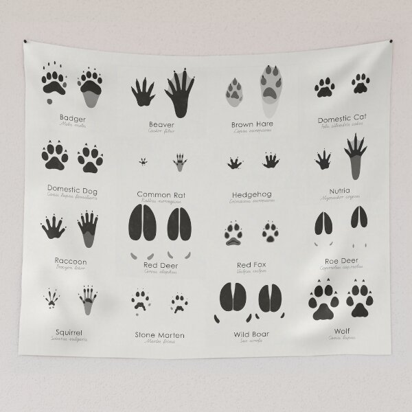 Item preview, Common Animal Tracks Identification Chart (Hidden Tracks) designed and sold by Iris Luckhaus.