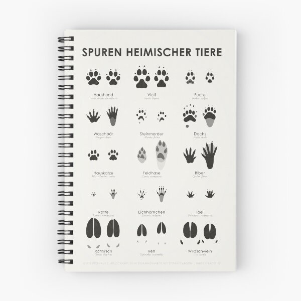 Item preview, Domestic Animal Tracks (Hidden Tracks; German) designed and sold by Iris Luckhaus.
