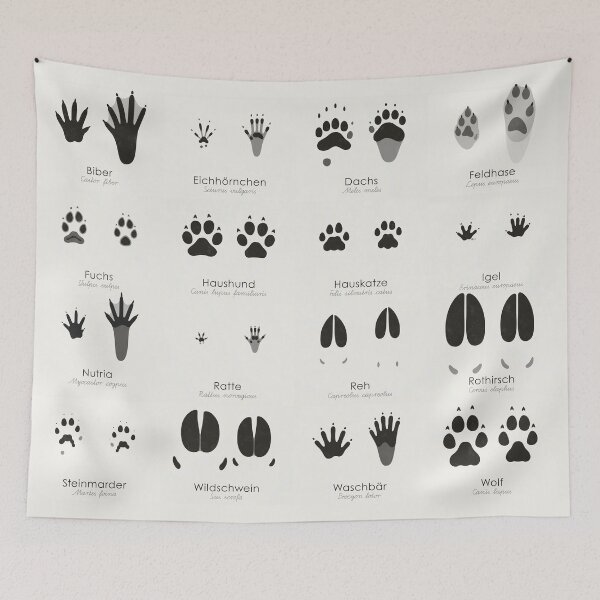 Item preview, Domestic Animal Tracks (Hidden Tracks; German) designed and sold by Iris Luckhaus.