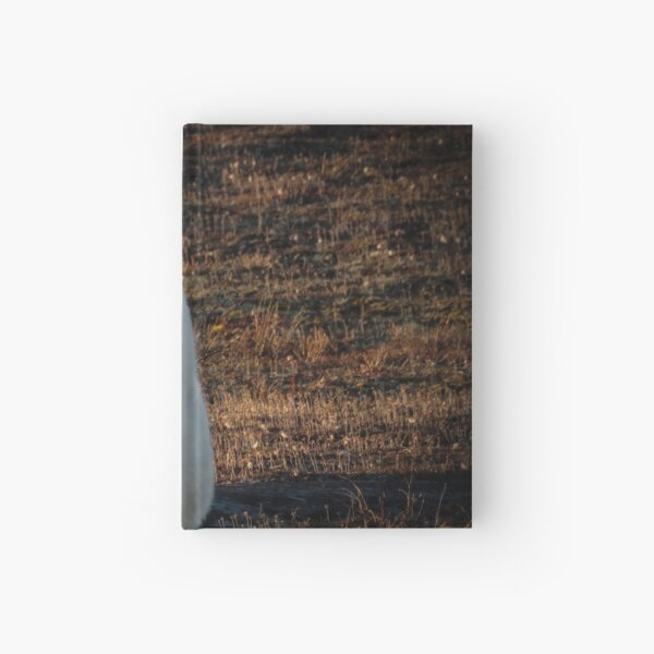 basking in the light Hardcover Journal