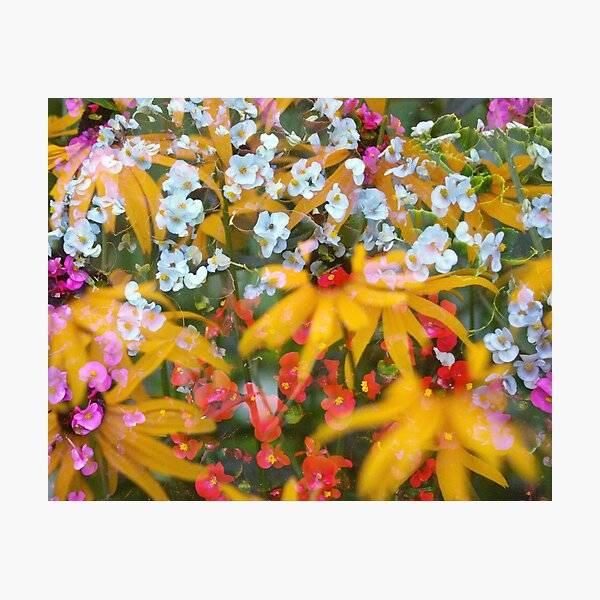 Item preview, Beautiful flowers  designed and sold by Brent Fennell.