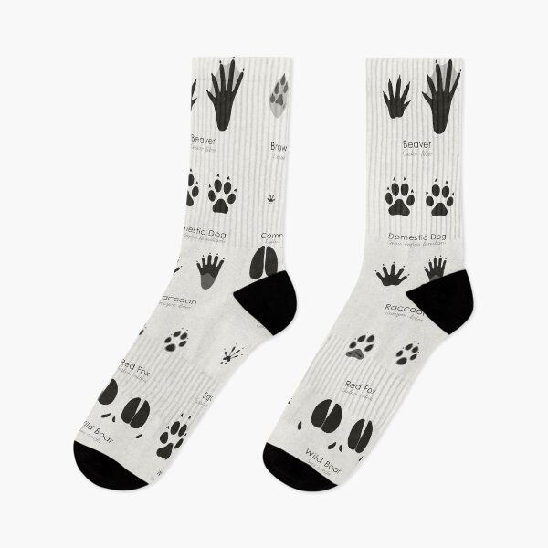 Item preview, Common Animal Tracks Identification Chart (Hidden Tracks) designed and sold by Iris Luckhaus.