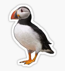 Puffin Sticker