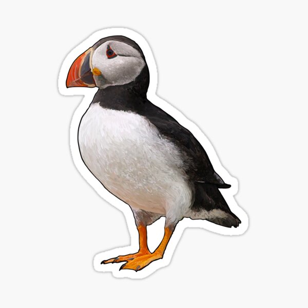 Puffin Sticker