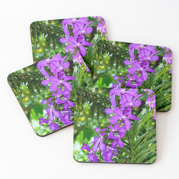 Aperçu de l'œuvre Orchidée Aranda Noorah Alsagoff Singapour créée et vendue par Shapes-Mania.