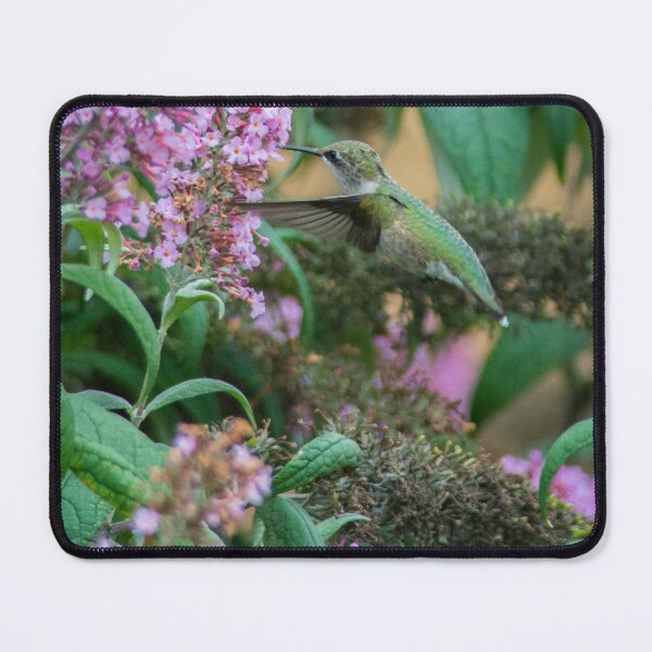 Item preview, Ruby-throated Hummingbird designed and sold by Bill Spengler's Photographic Thoughts.