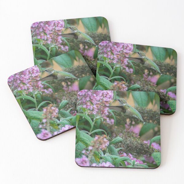Item preview, Ruby-throated Hummingbird designed and sold by Bill Spengler's Photographic Thoughts.