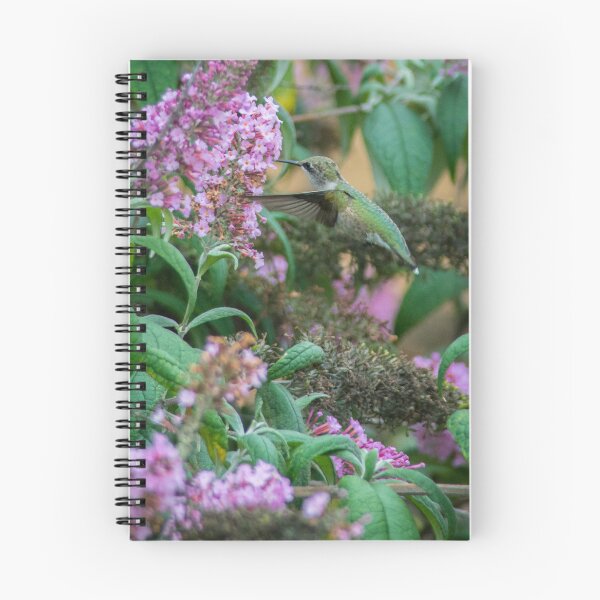 Item preview, Ruby-throated Hummingbird designed and sold by Bill Spengler's Photographic Thoughts.