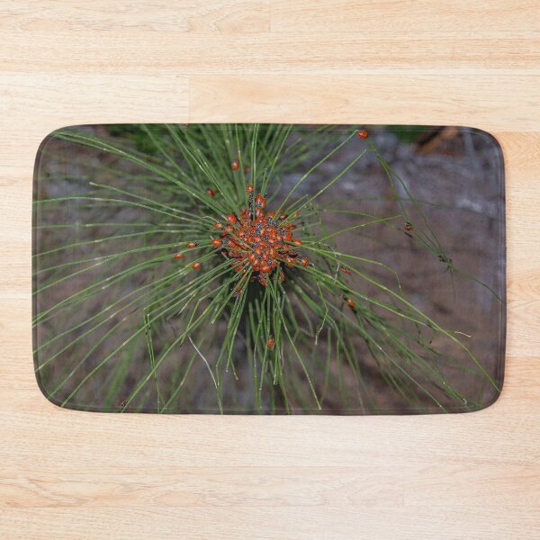 Item preview, Ladybug Palooza Swarm in the Forest, California designed and sold by SafariByMarisa.