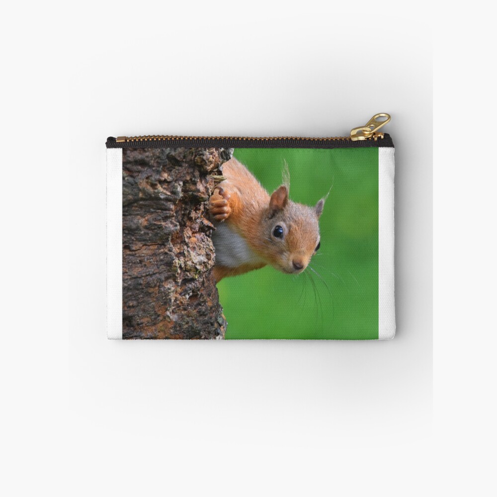 Item preview, Zipper Pouch designed and sold by rob3003.