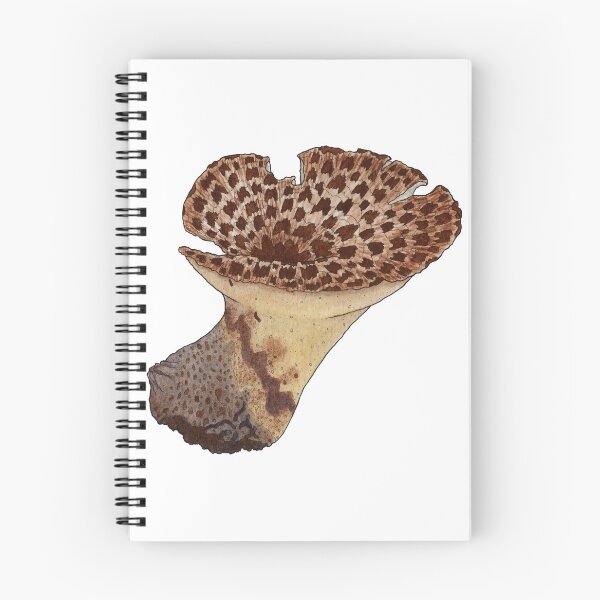 Item preview, Dryad's Saddle/Pheasant Back Mushroom designed and sold by branther.