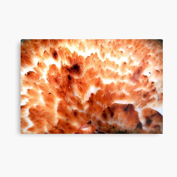 Inner Glow Metal Print