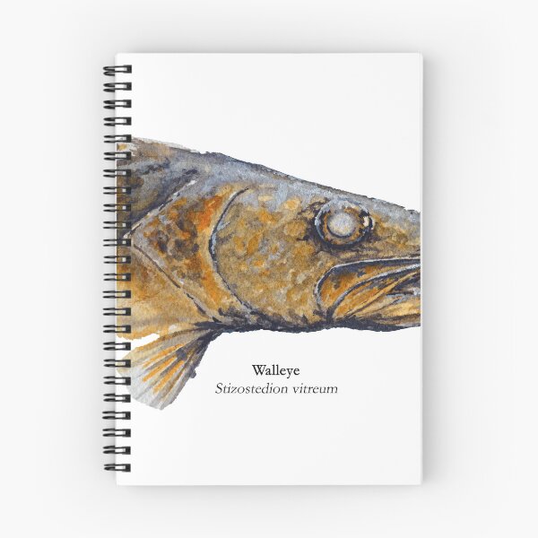 Item preview, Walleye Eyes designed and sold by Stephen Emms.