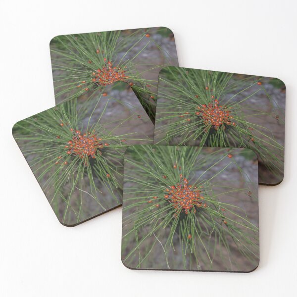 Item preview, Ladybug Palooza Swarm in the Forest, California designed and sold by SafariByMarisa.