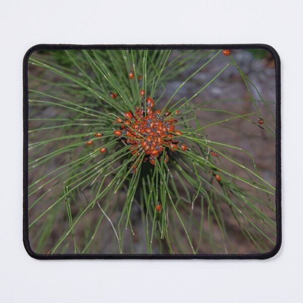 Item preview, Ladybug Palooza Swarm in the Forest, California designed and sold by SafariByMarisa.