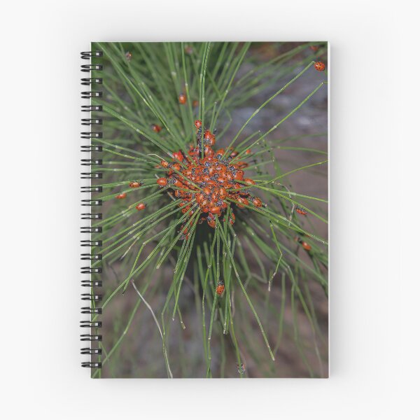 Item preview, Ladybug Palooza Swarm in the Forest, California designed and sold by SafariByMarisa.