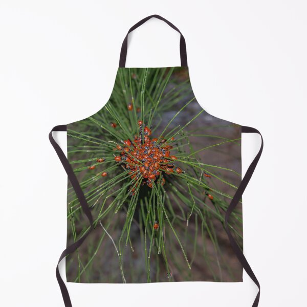 Item preview, Ladybug Palooza Swarm in the Forest, California designed and sold by SafariByMarisa.
