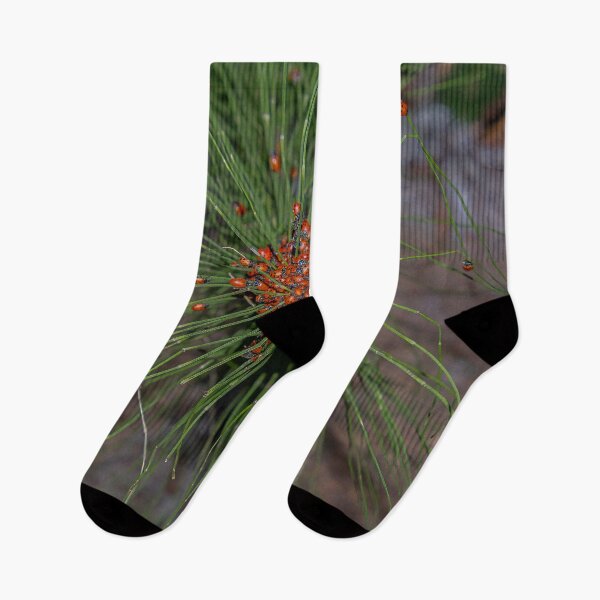 Item preview, Ladybug Palooza Swarm in the Forest, California designed and sold by SafariByMarisa.