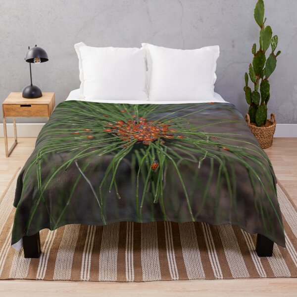 Item preview, Ladybug Palooza Swarm in the Forest, California designed and sold by SafariByMarisa.