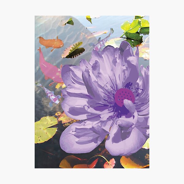 One Petal with the Movement of the Sun Photographic Print