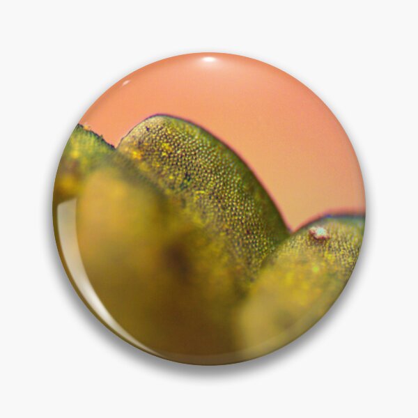 Item preview, Moss 3 designed and sold by Microscope-Art.